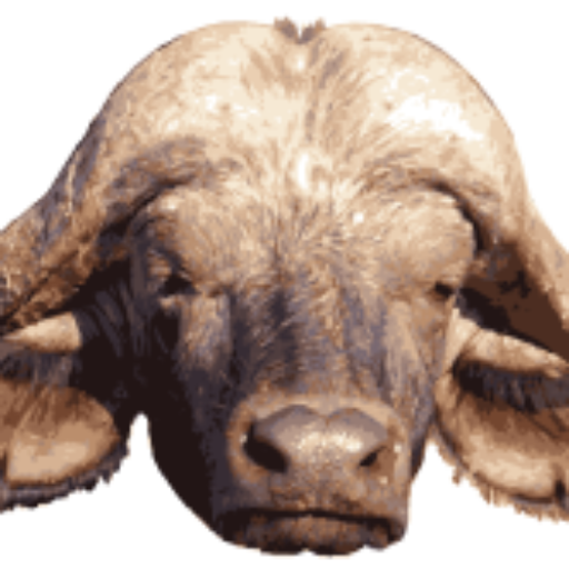 Avatar von EVERY DAY CAIMI 24: «LOCKDOWN FOR EVER: DAUERND GRÜSST DAS MURMELTIER!» – Die Caimi-Reports